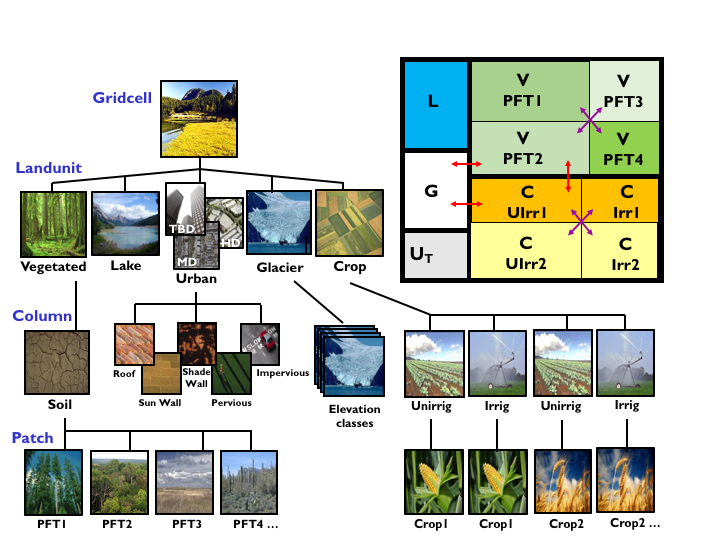 ../../_images/CLM5_subgrid_structure_v1.png